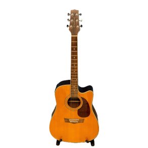 (USED) Peavey Briarwood DR-4CA-EQ